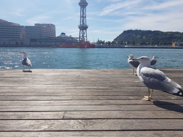 Barcelona 2019