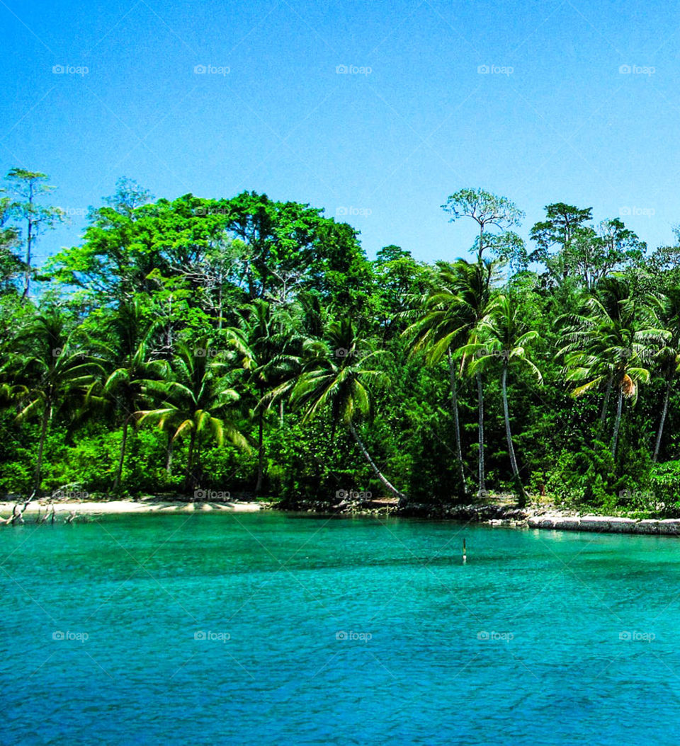 Travel around the world