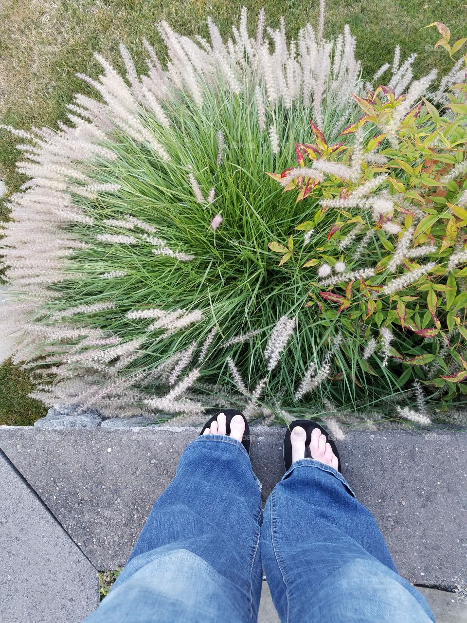 feet by grass