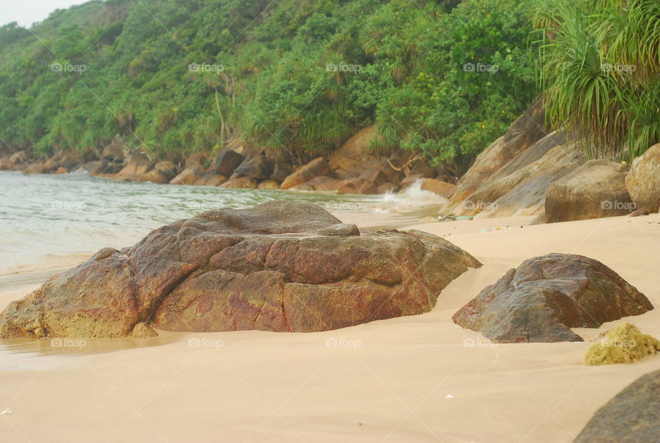 Coast of Indian Ocean, beach with stones palms 