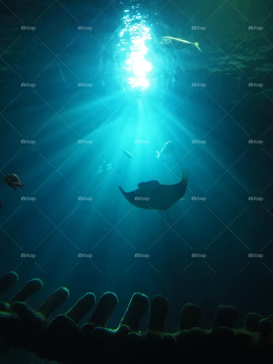 Underwater 