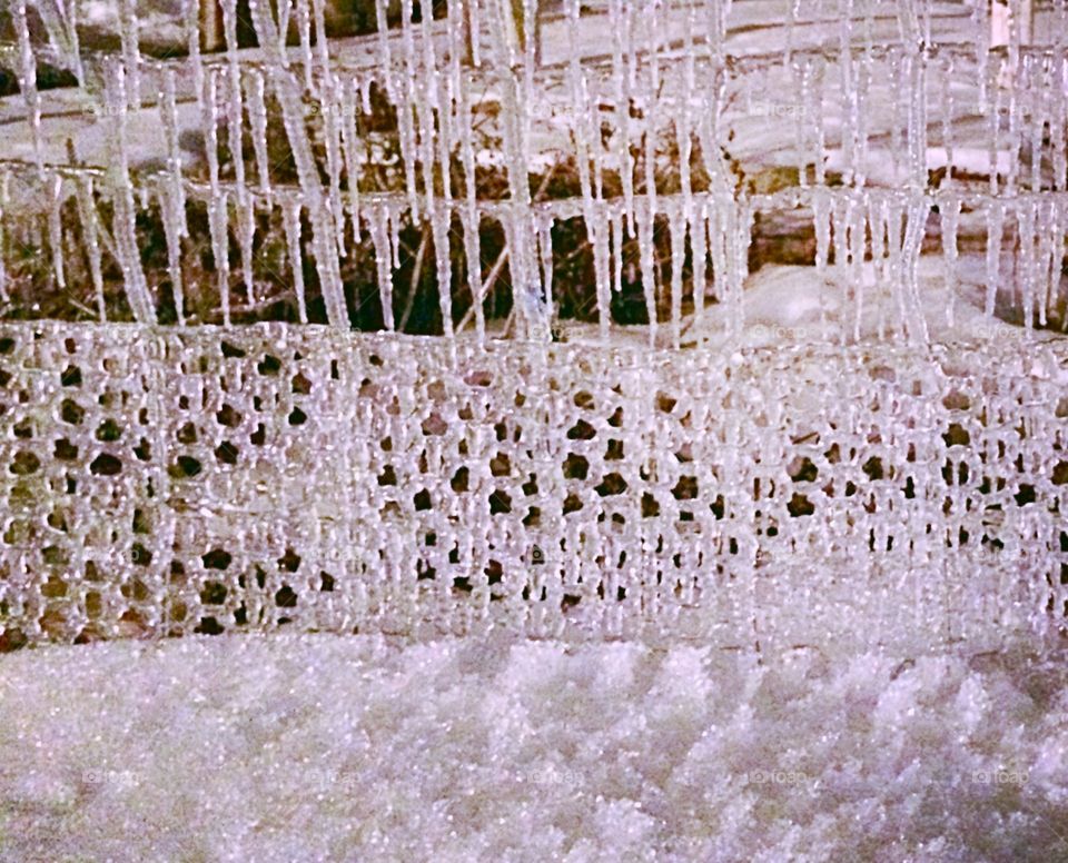Ice covered fence 