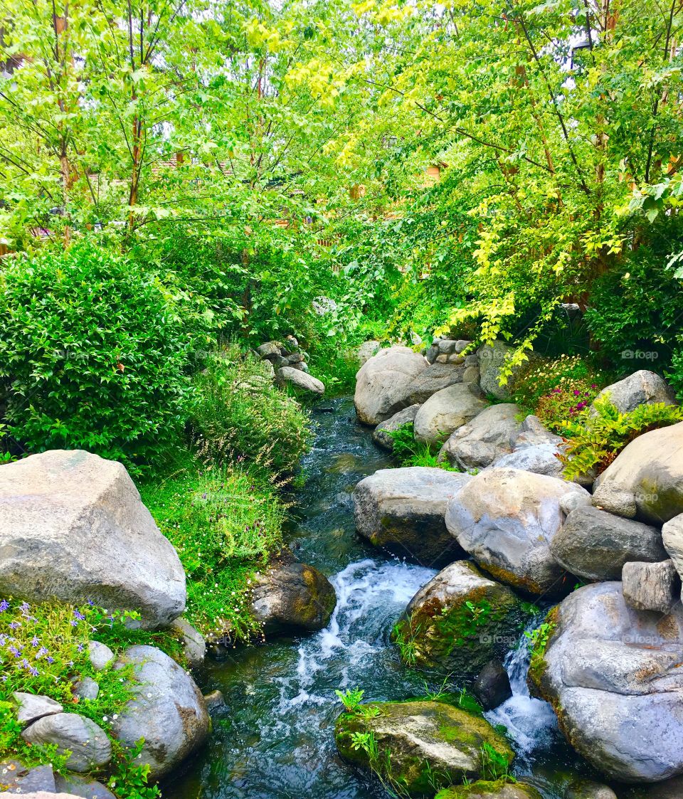 Vivid scenery, stream bordered by boulders and bushes
