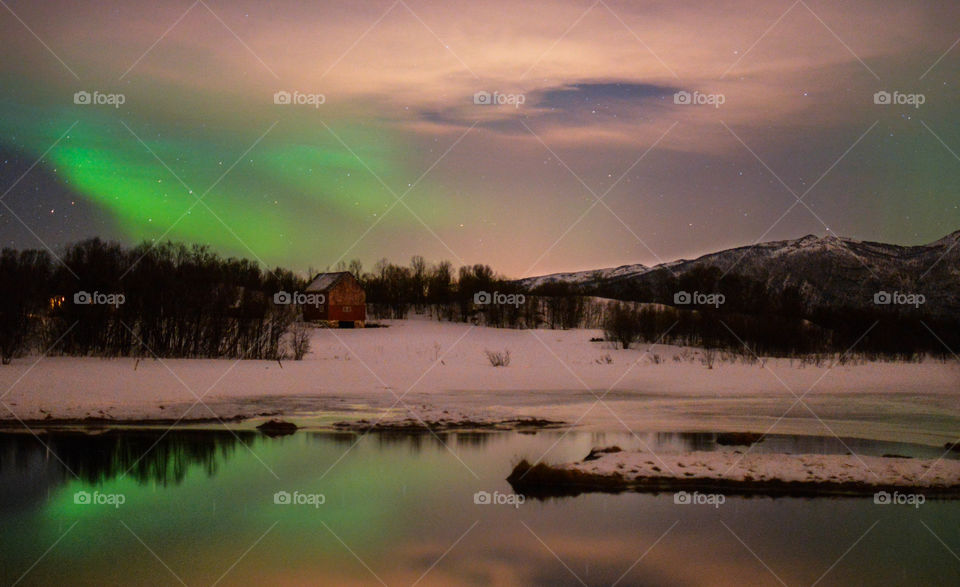 Scenic view of nature