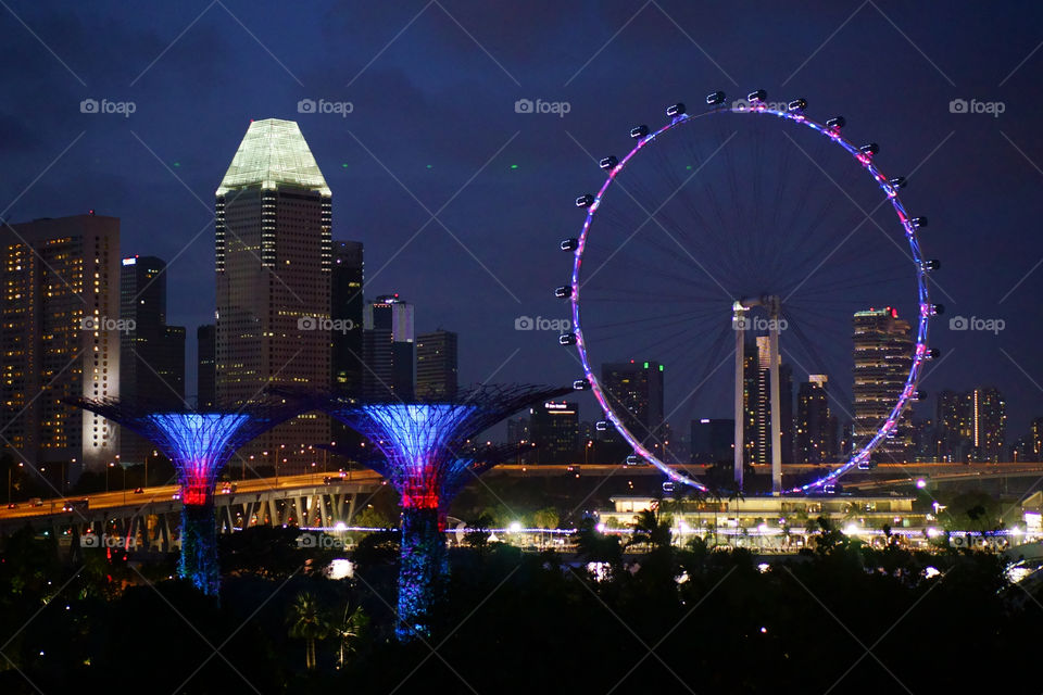 singapire night view