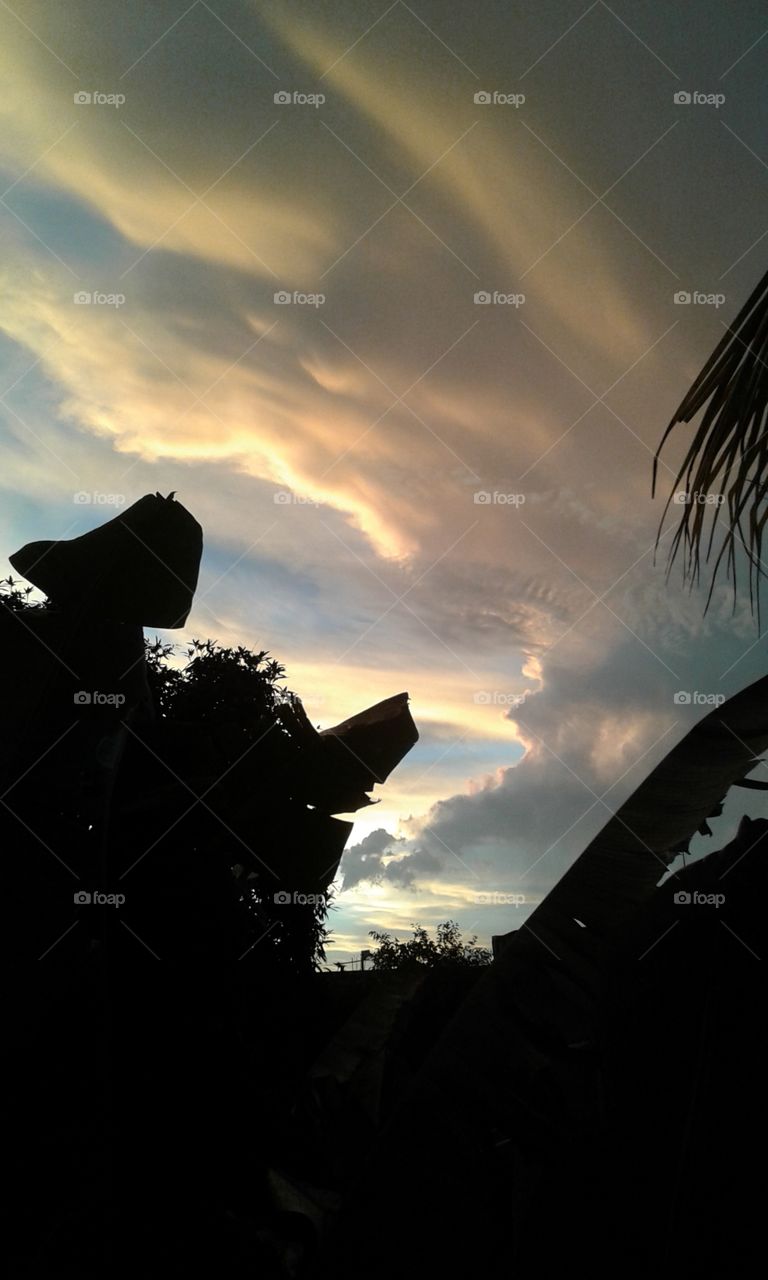 Sunset, Silhouette, Backlit, People, Sun