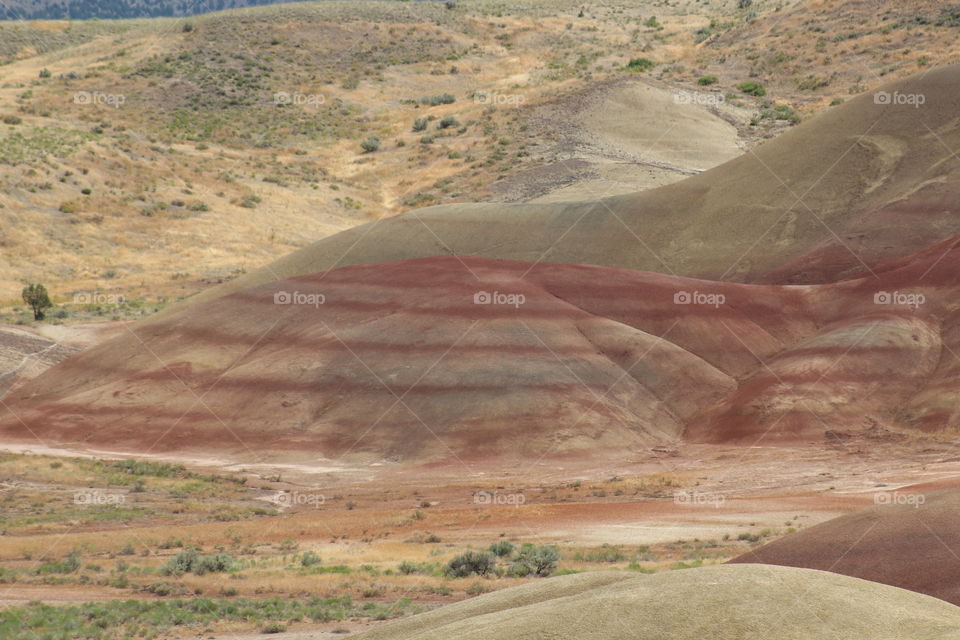 painted hills