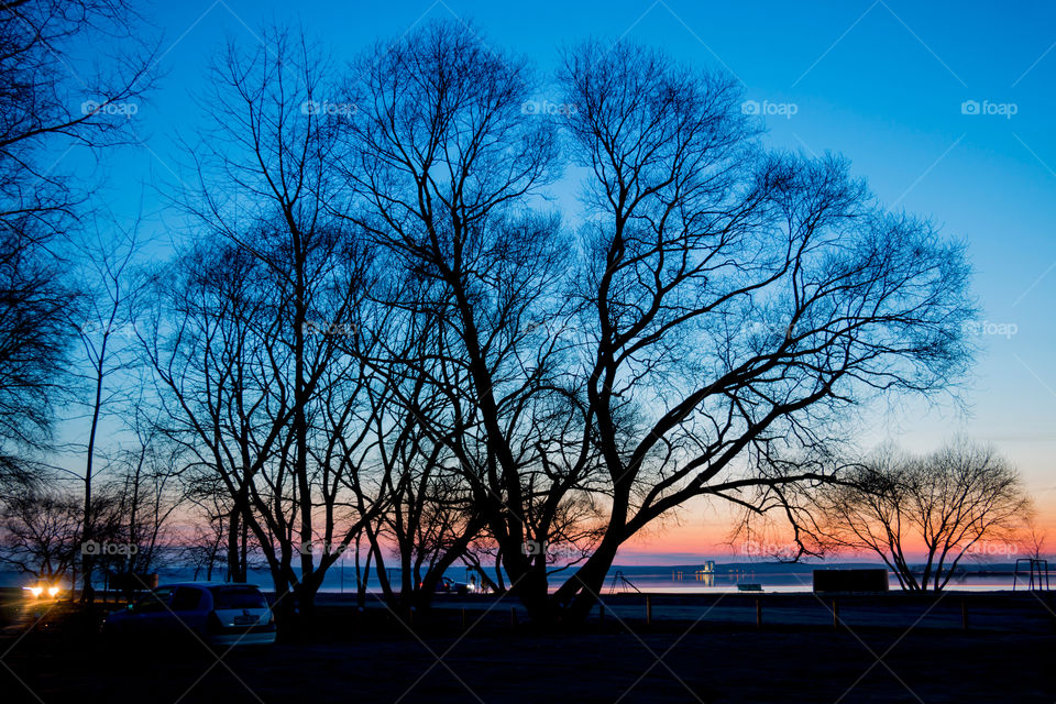 sunset at the lake