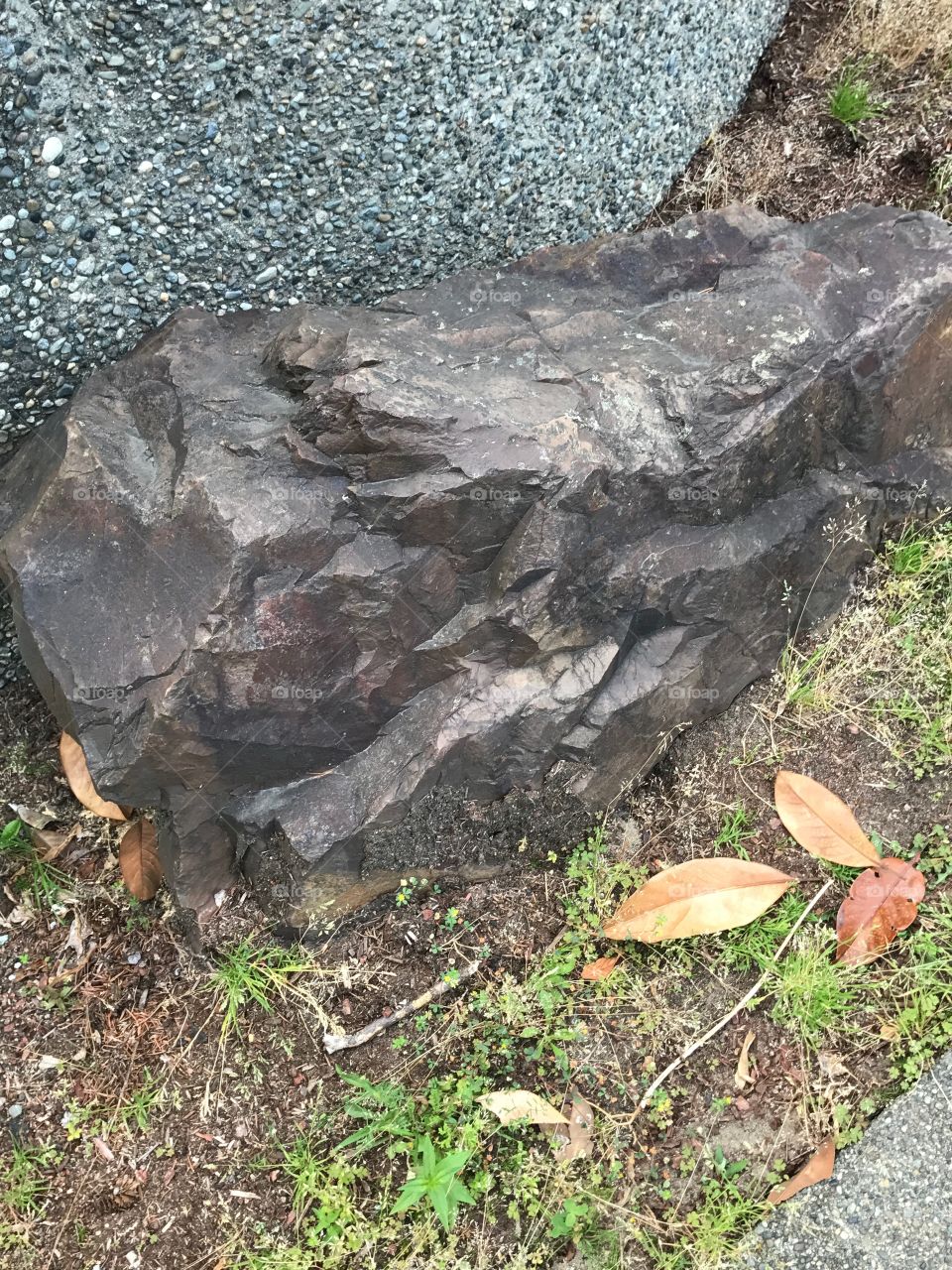 An interesting looking rock