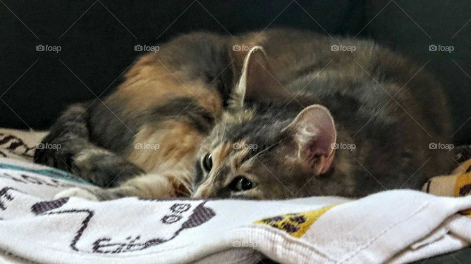 Maybe she can't see me