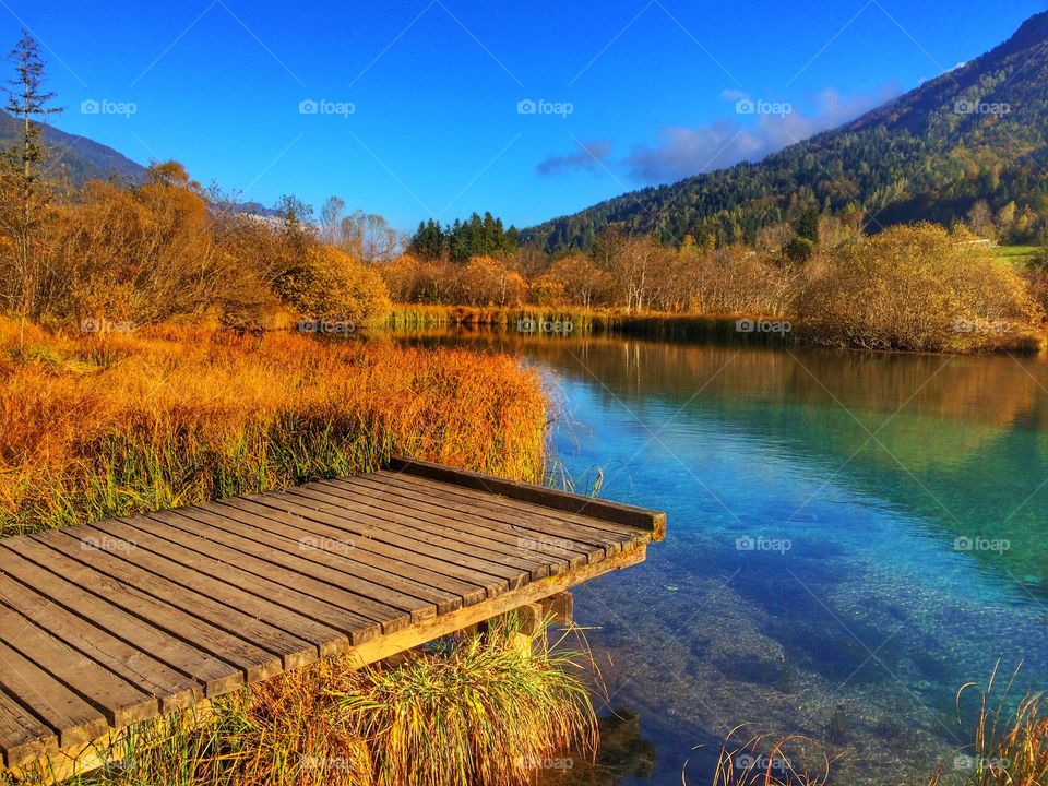 Scenic view of lake in autumn