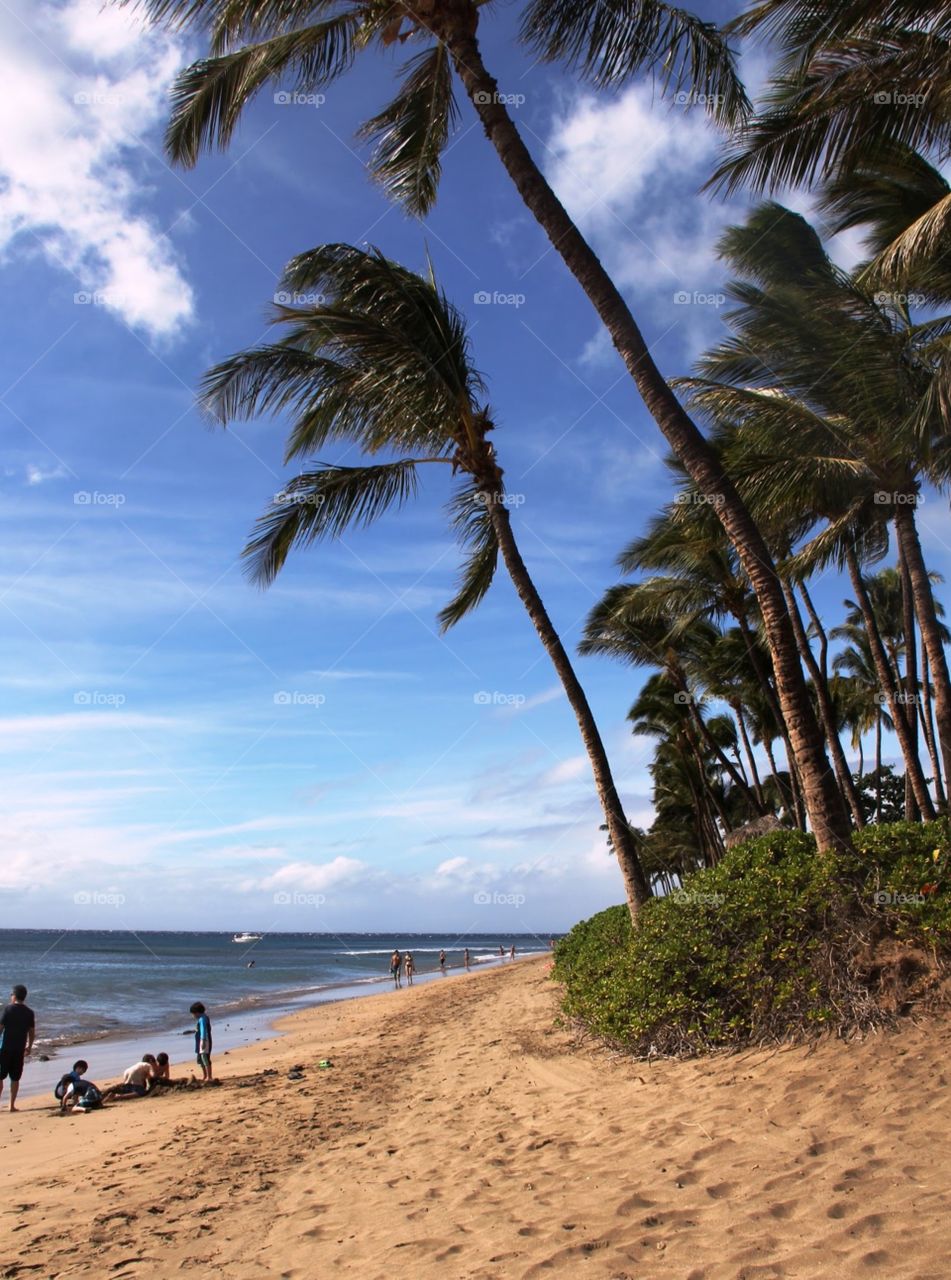 Maui. Maui beach