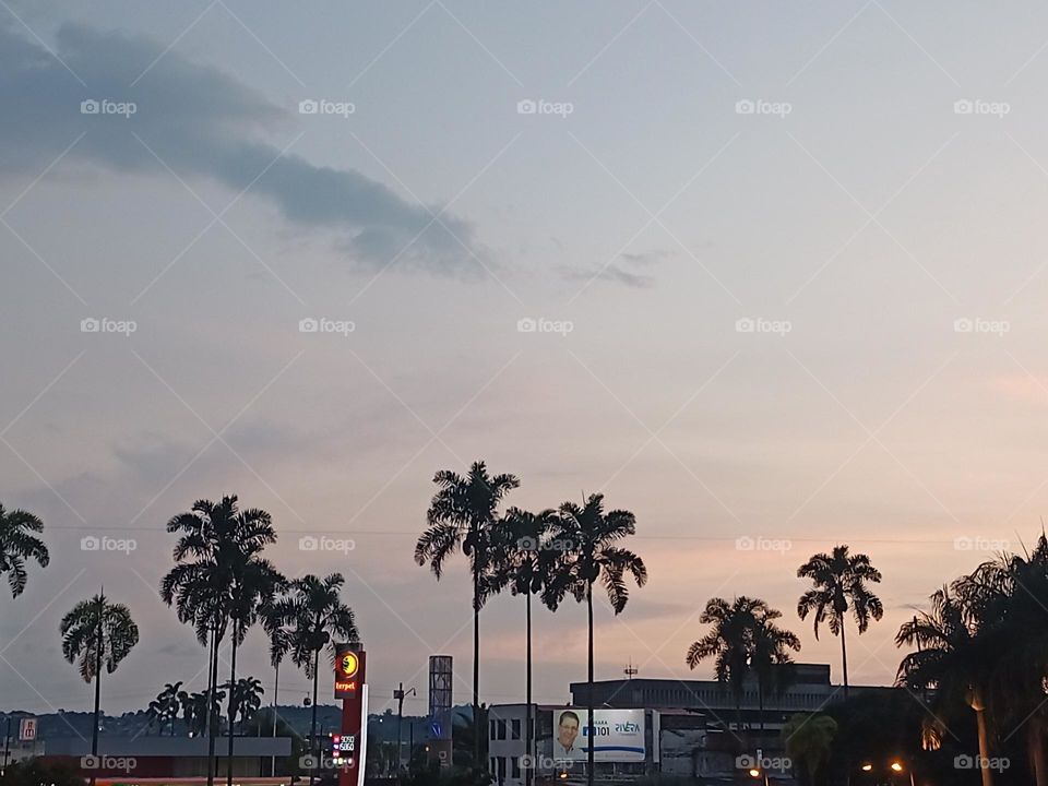 Parque. Parque en el centro de la ciudad.