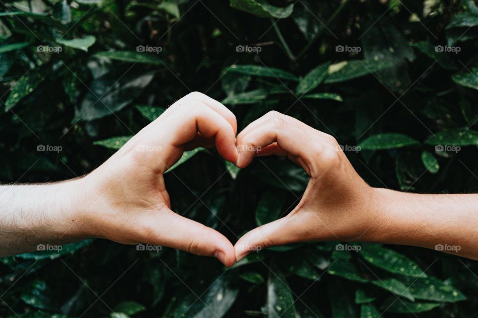 Hands forming a heart shape against green leaves outdoors.