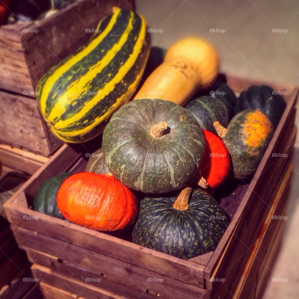 Pumpkins