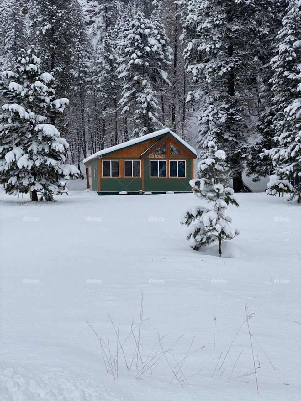 green cabin in snow