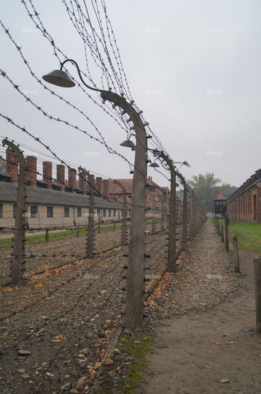 Auschwitz