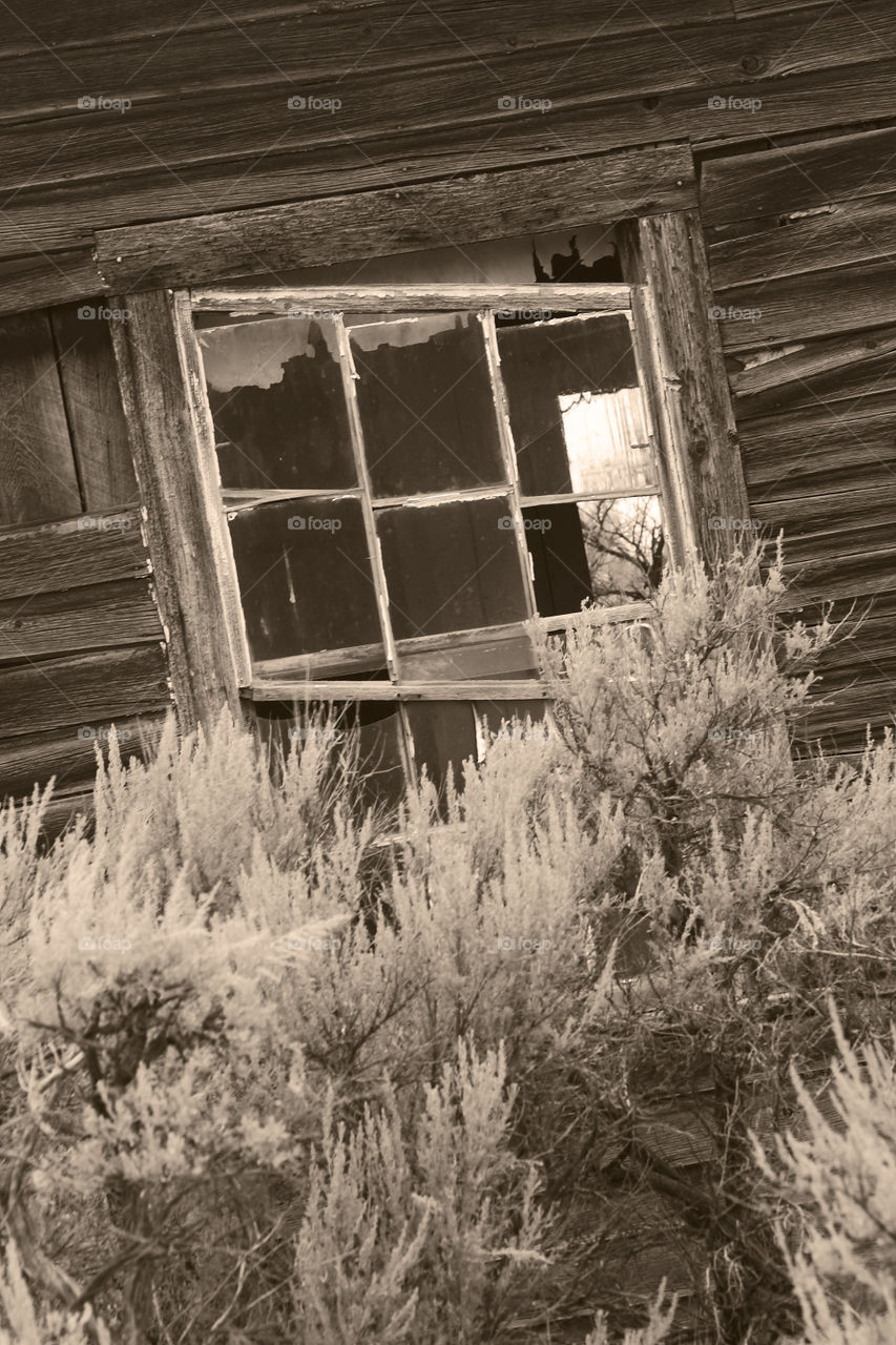 old leaning cabin window