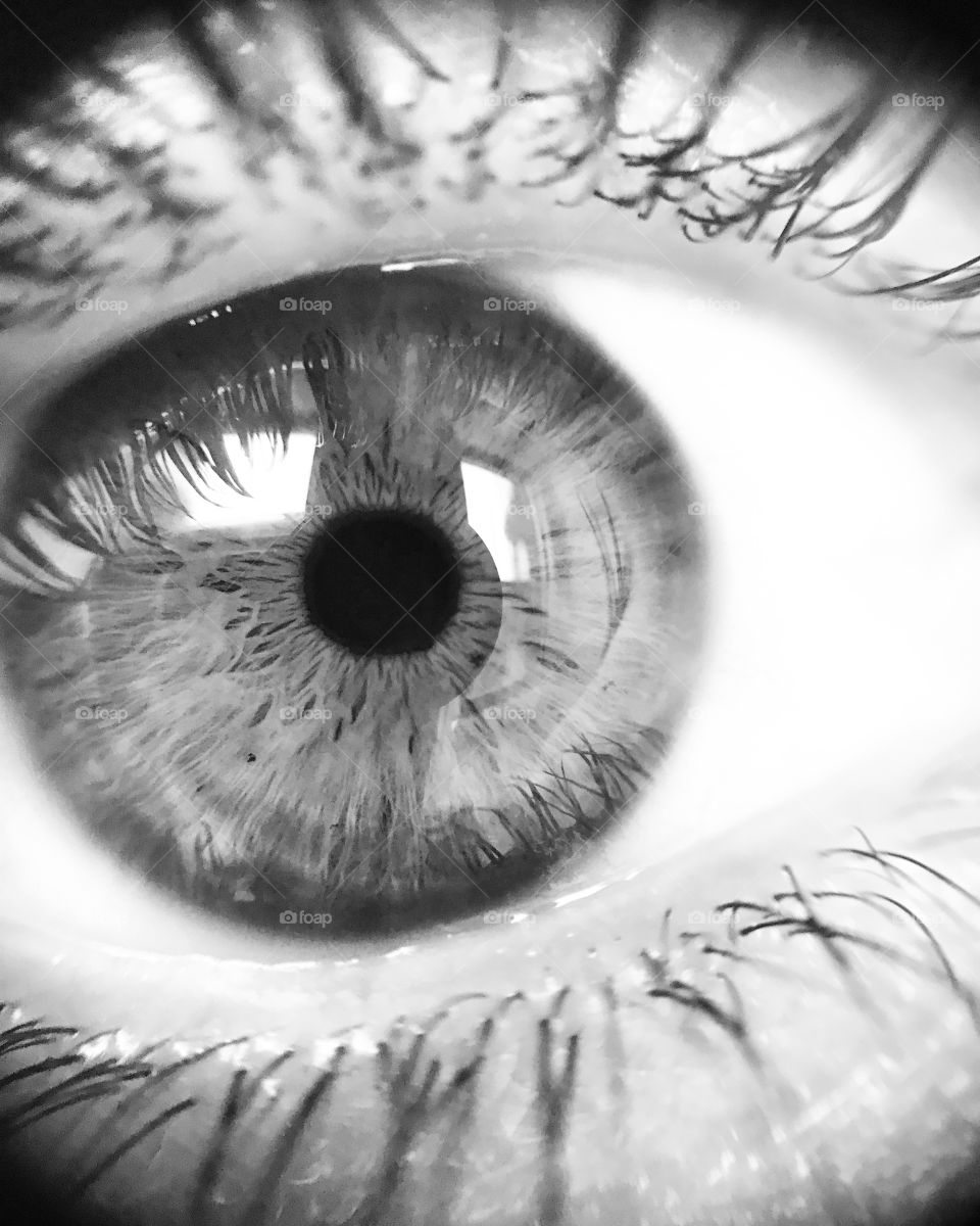 Meus olhos 