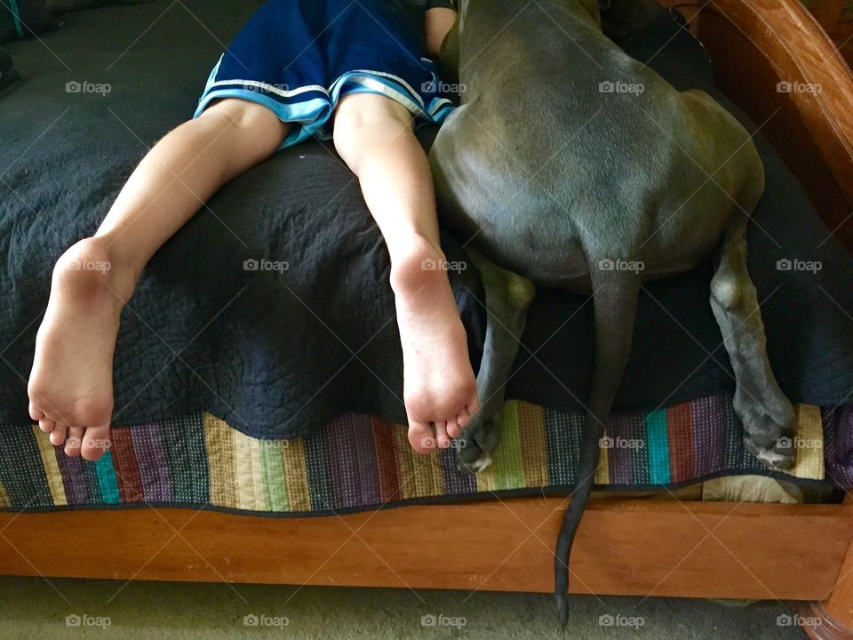 Boy and his dog being lazy, bottom/ feel view 