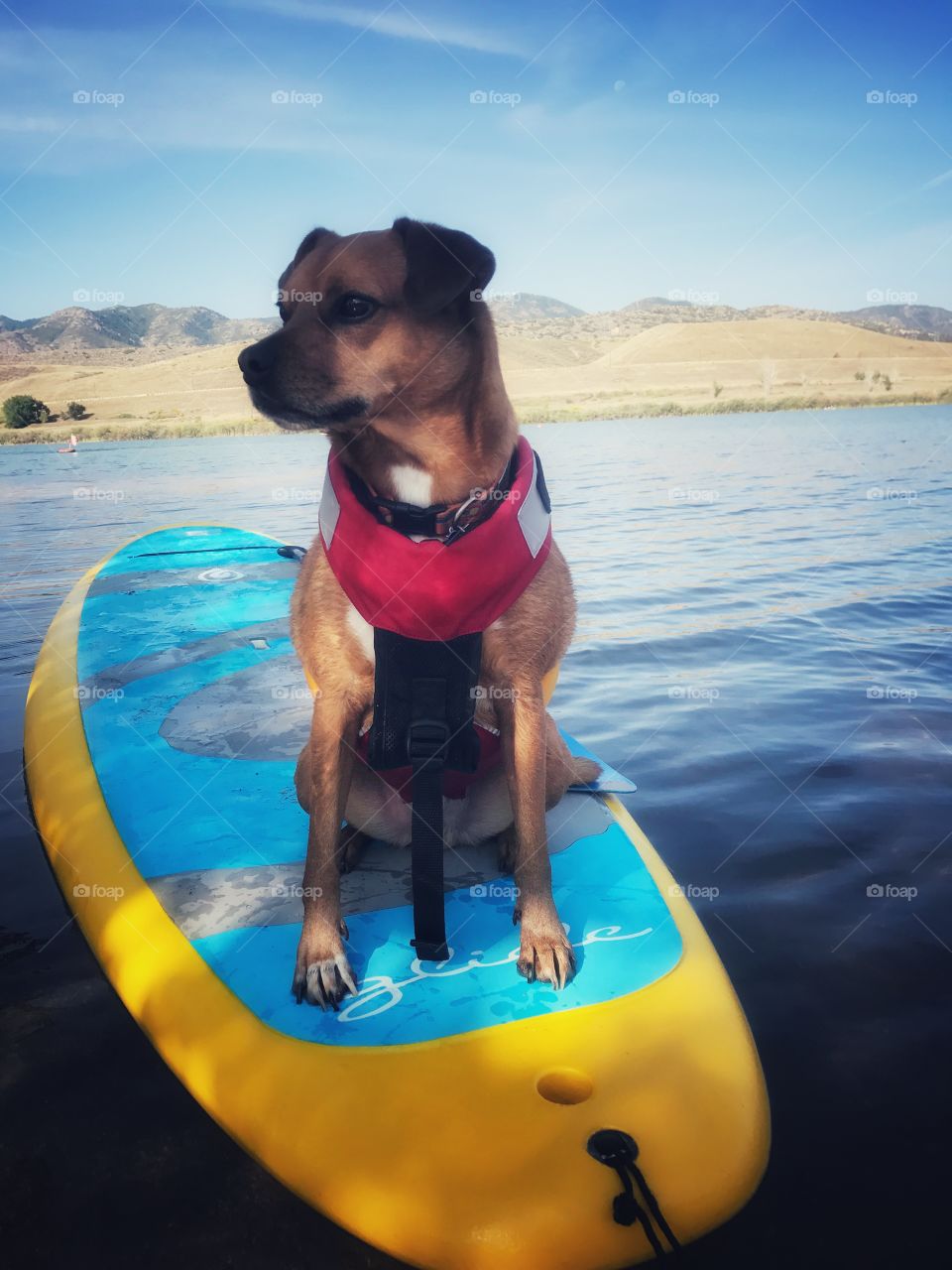 Colorado! Paddle Boarding!