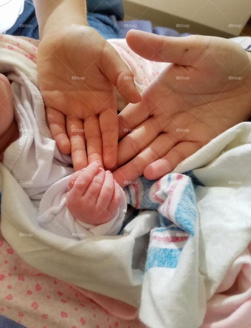 Welcoming newborn to the family 