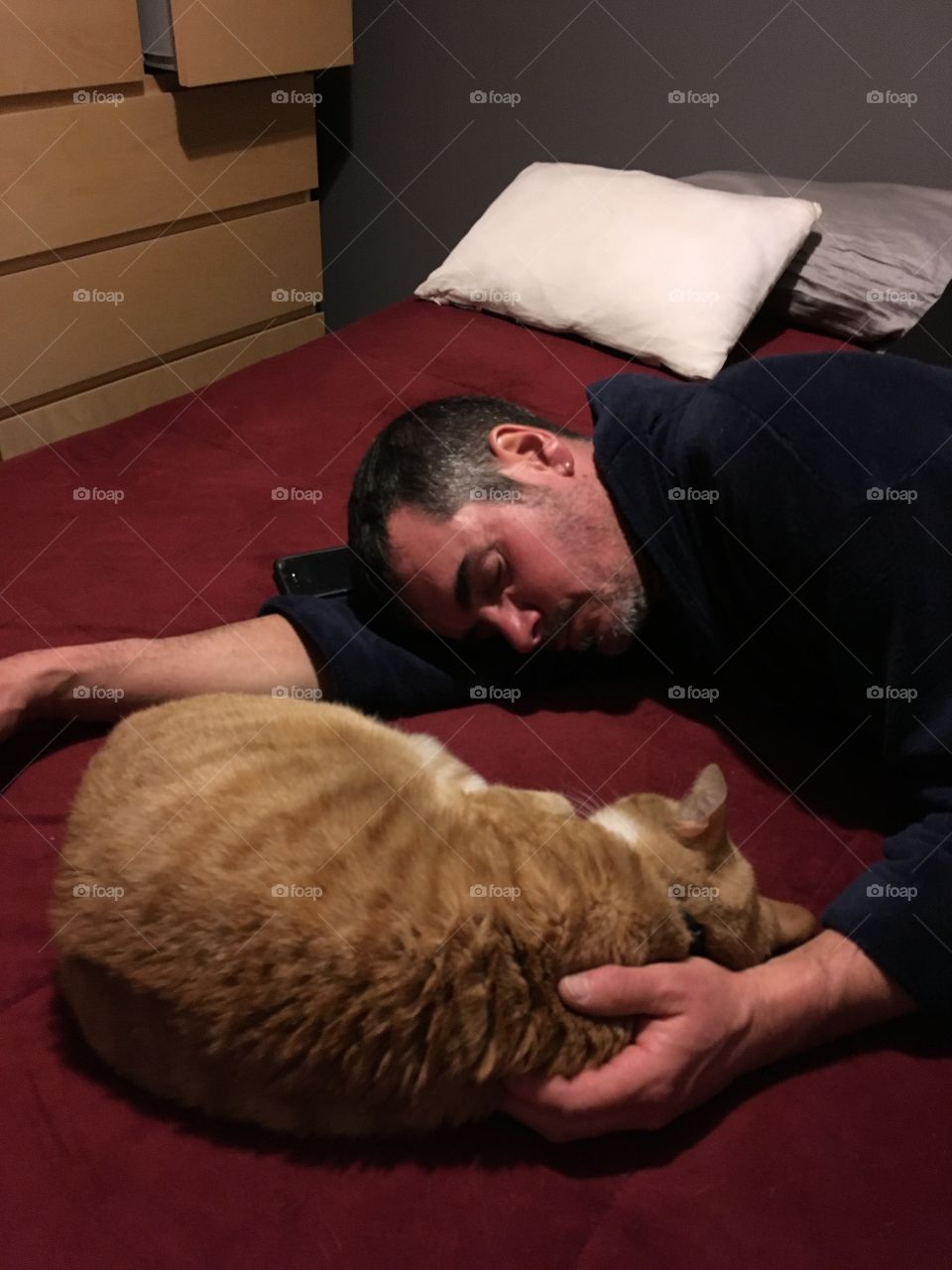 Cat and daddy asleep 