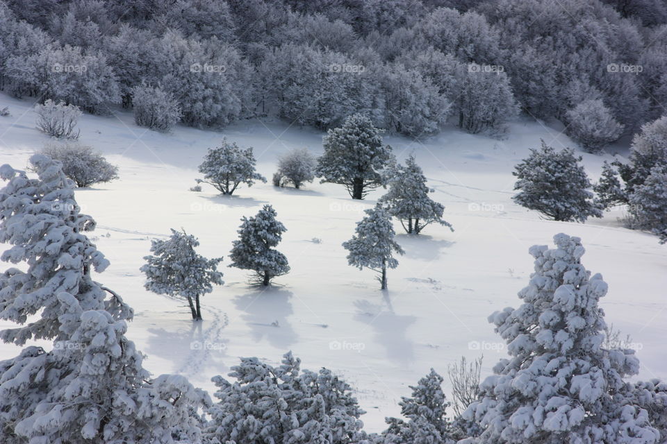 Snow, Winter, Frost, Cold, Frozen