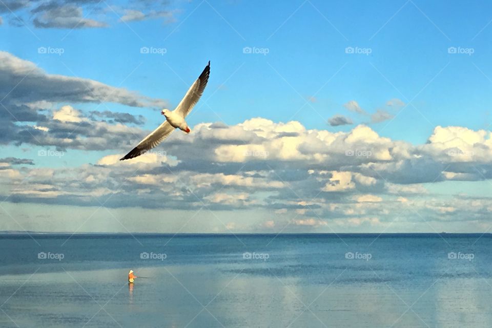 Fishing late afternoon in Whyalla, south Australia 