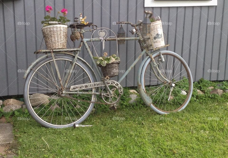 Me and My bicycle. Bicycle, flower 