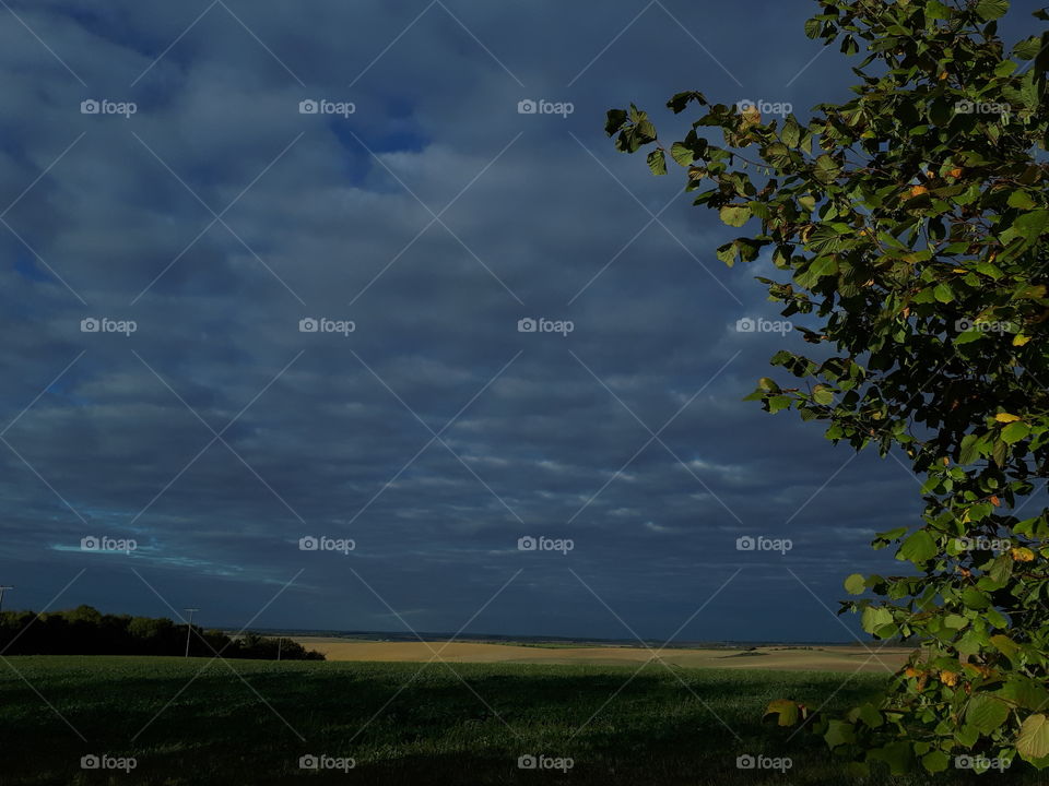 No Person, Landscape, Tree, Sky, Nature