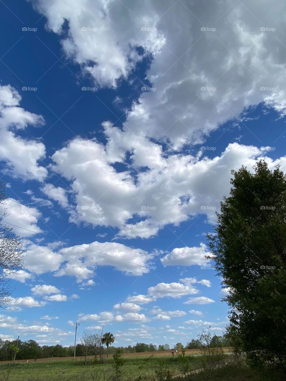 Looking at the beauty in the sky 