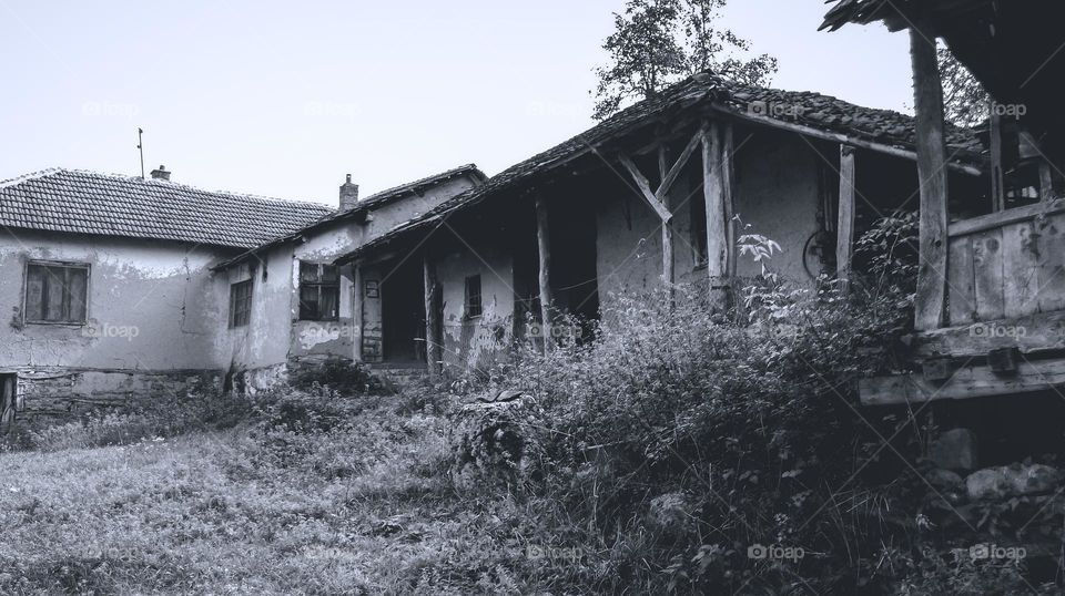 black and white life