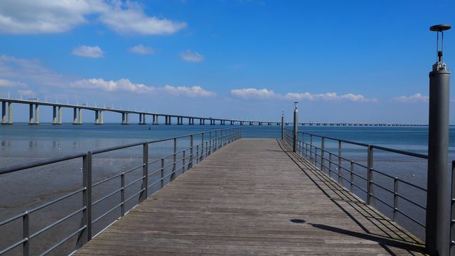 Brid