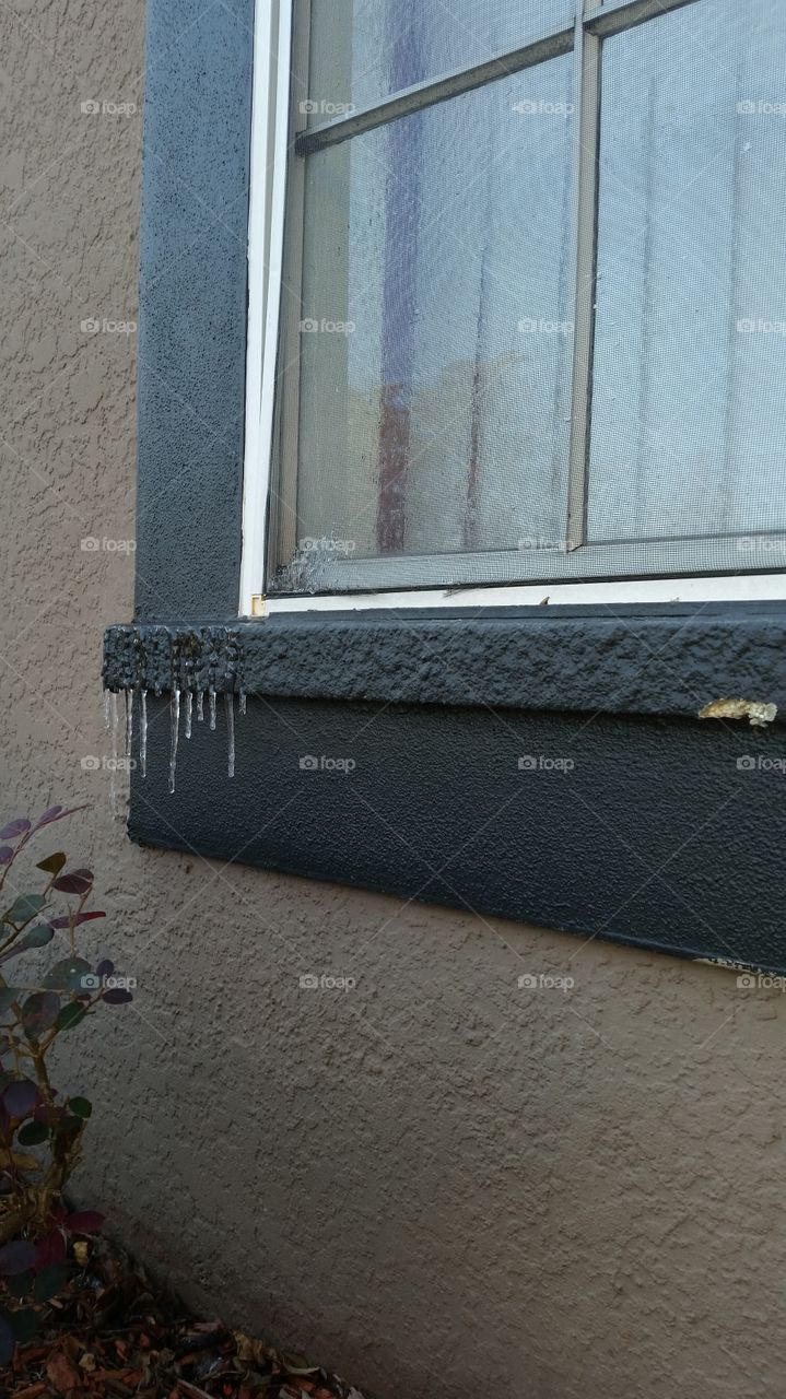 Florida 18, 2018 in Osceola county. Some ice at the window