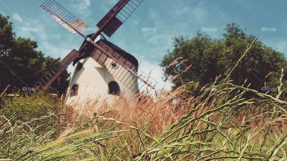windmill in summertime