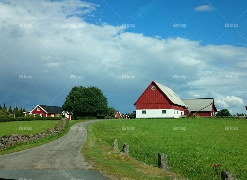 Swedish landscape 