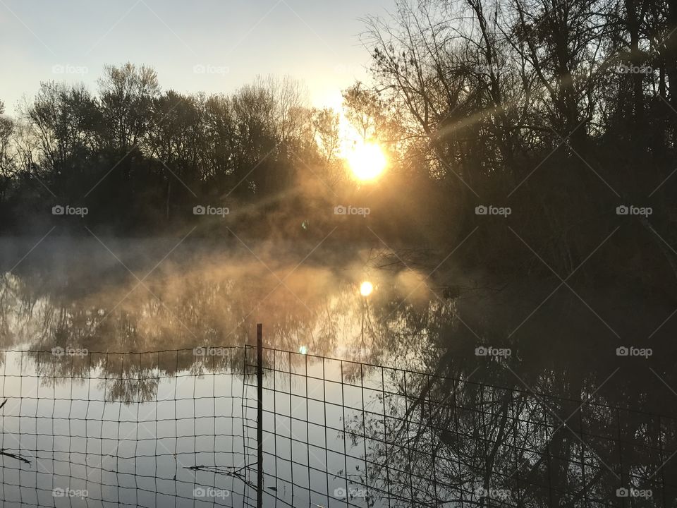 Reflection of trees on lake