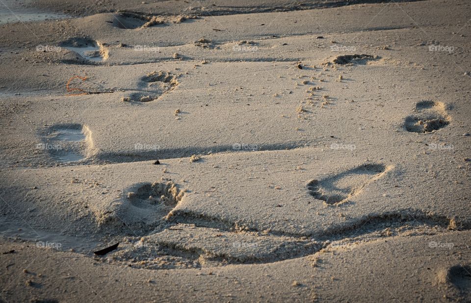 Step on the beach