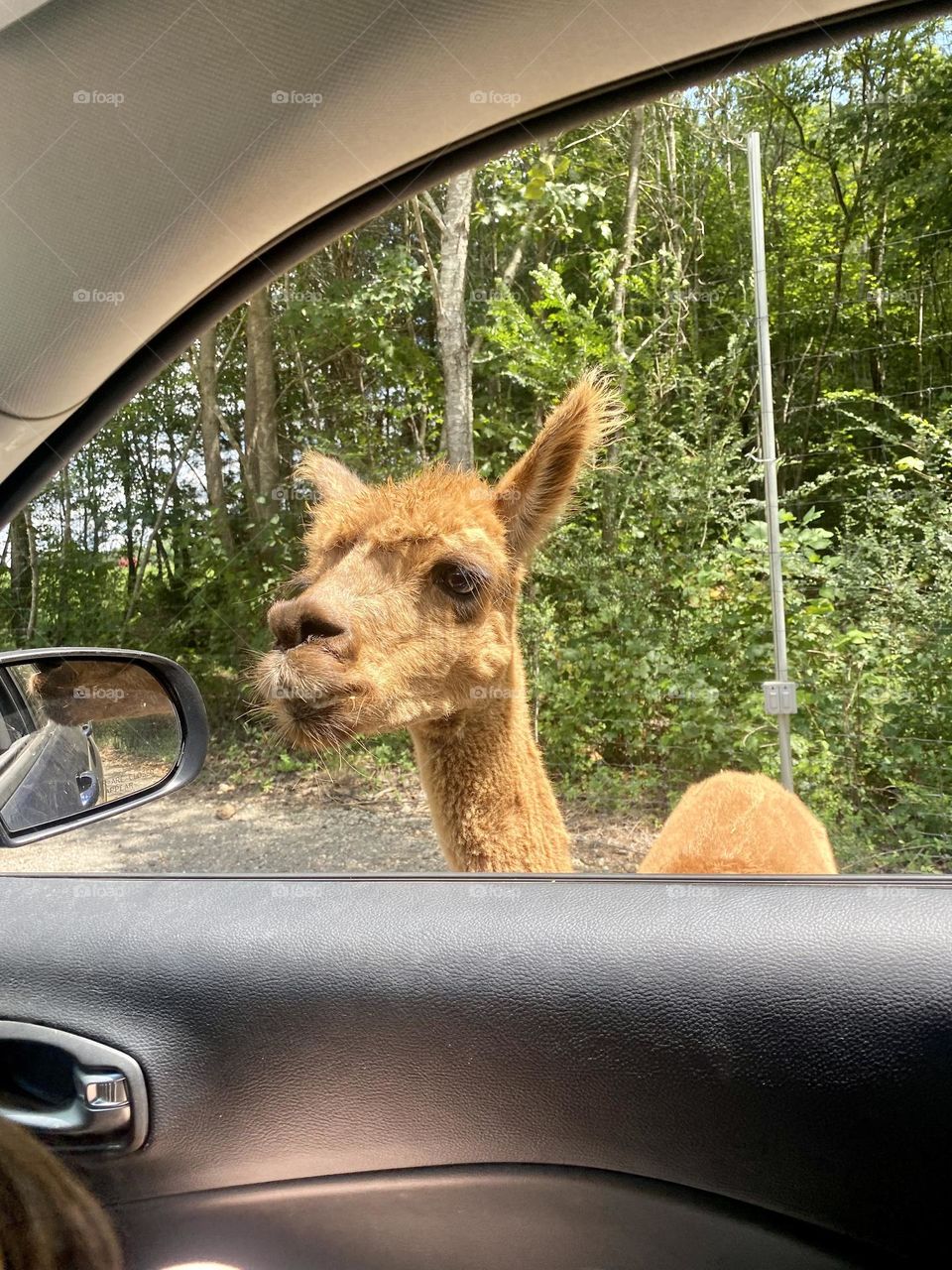 Just poppin' in to say hello! 