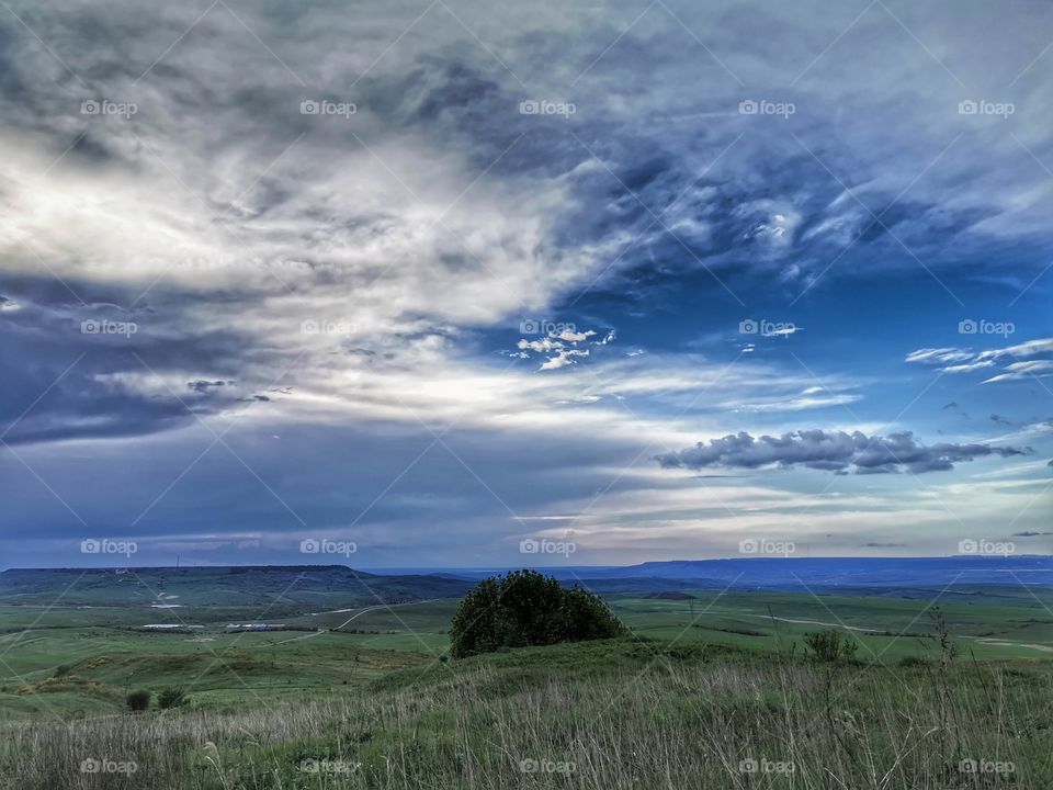 Forest day outdoor nature greens wild forest greens sky clouds moody