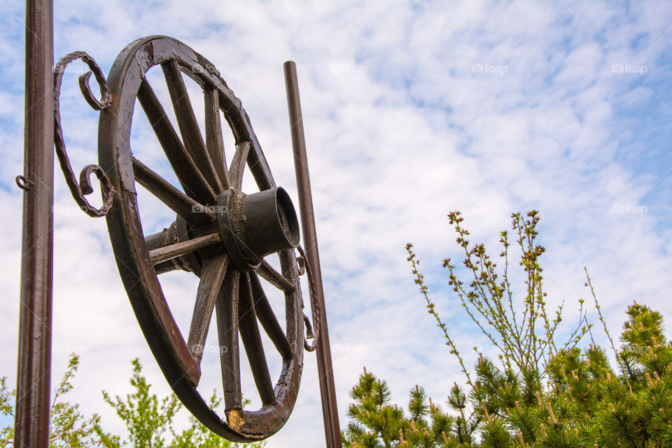 old wooden wheel with bushes