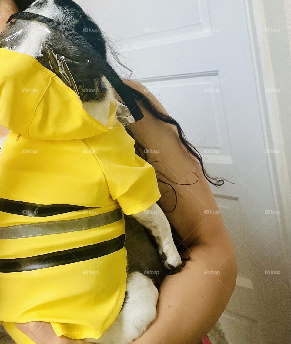 Pup raincoat from behind view too adorable ☺️