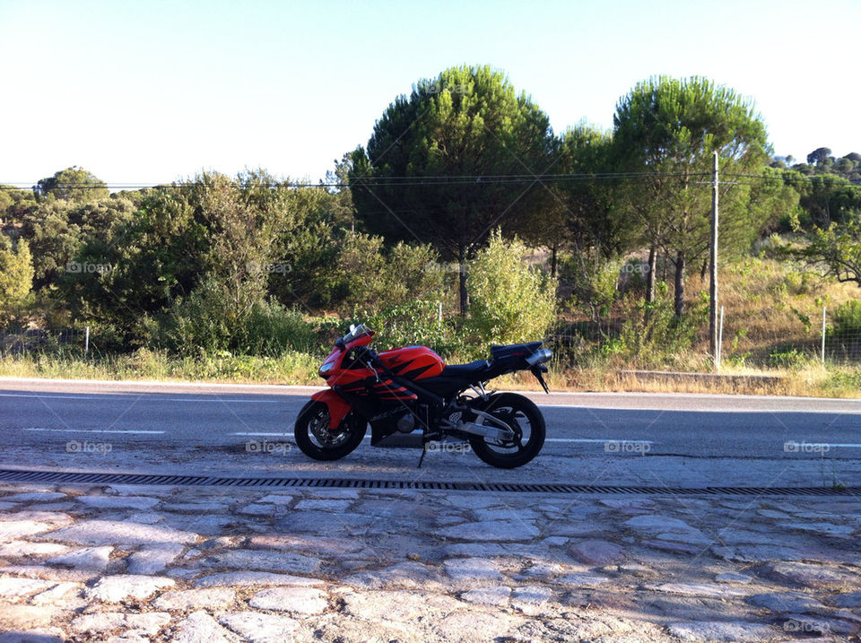 sport nature bike road by djmfotos