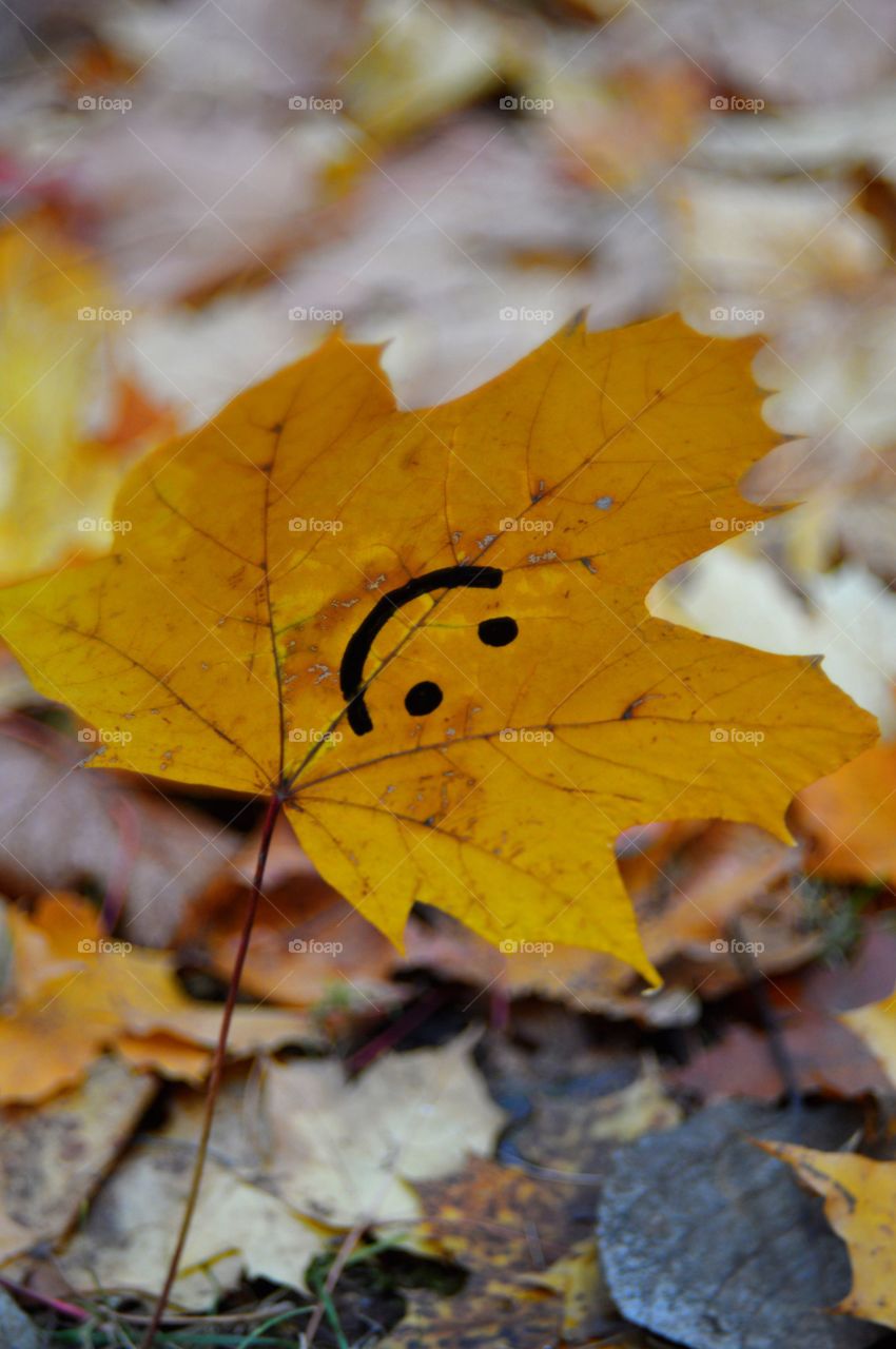 yellow leaves