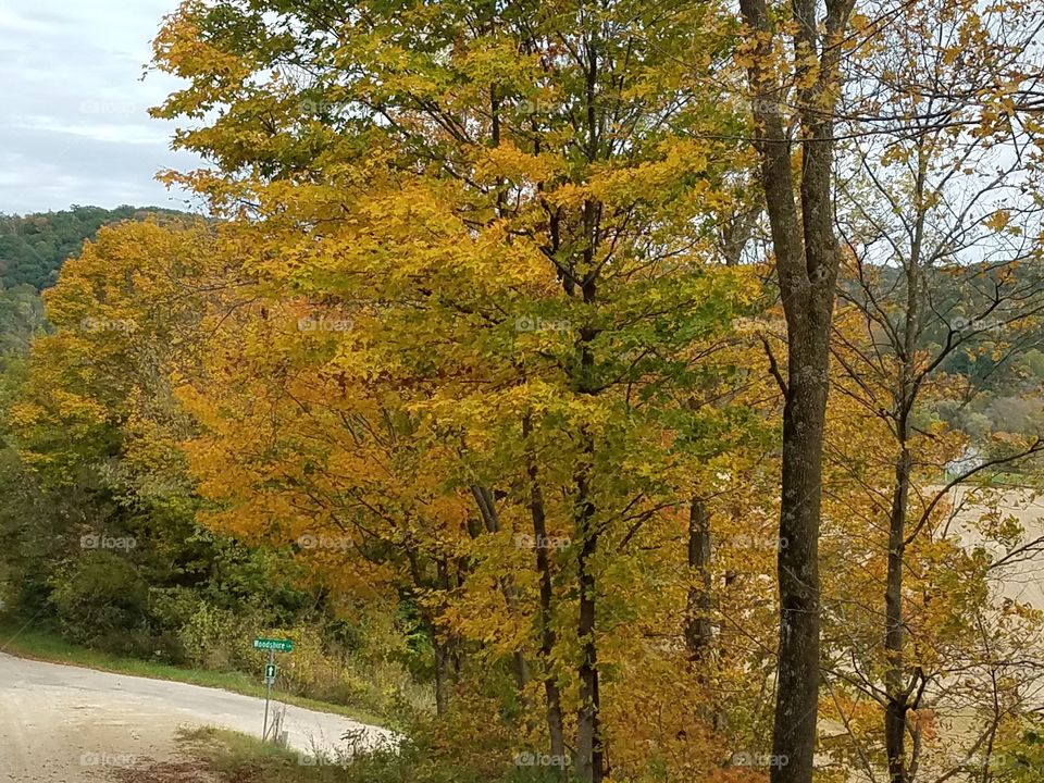 Driving the Back Roads and enjoying everything around us. Watching the color in the trees.