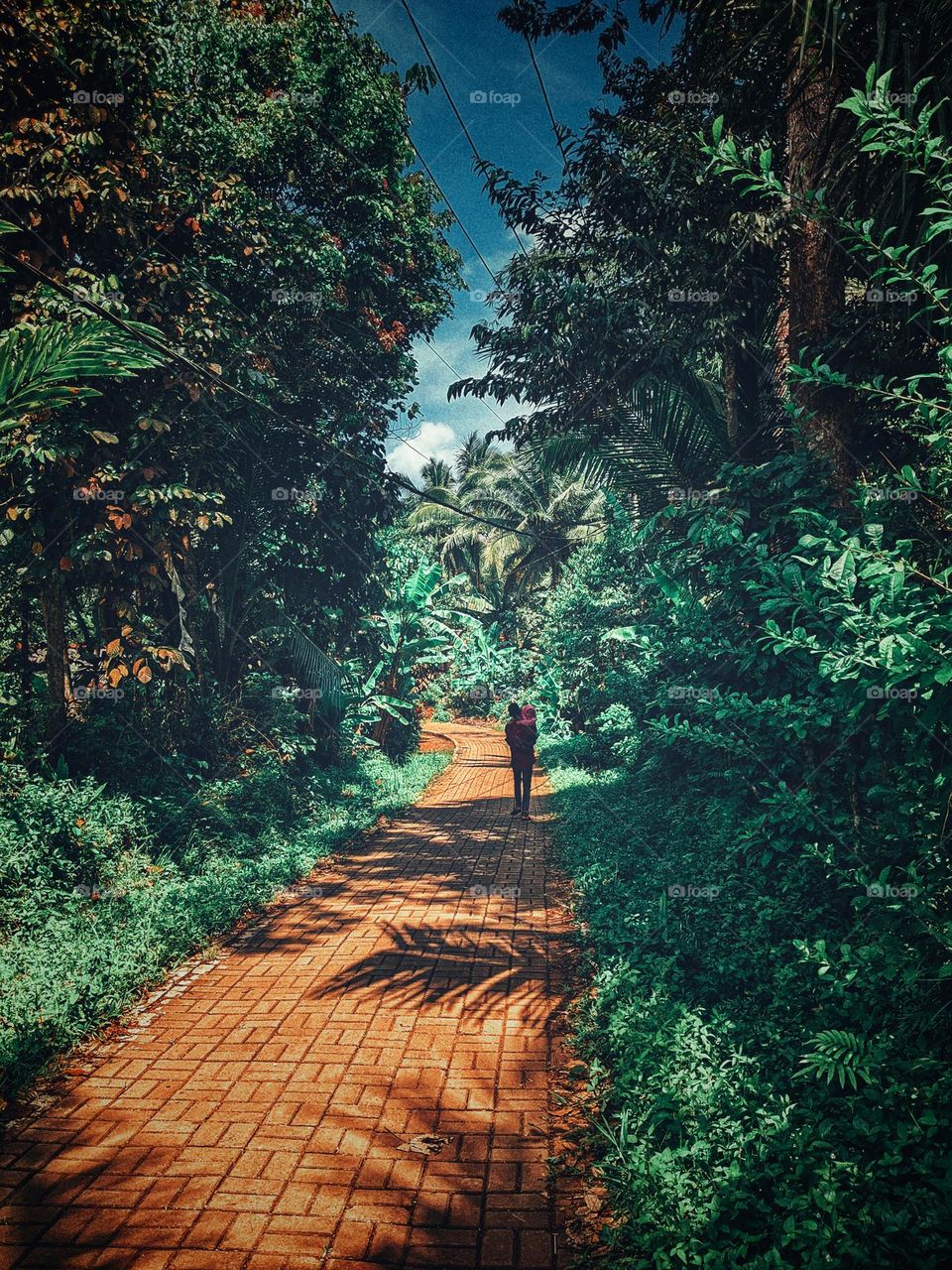 green scenery on the left and right side of the road