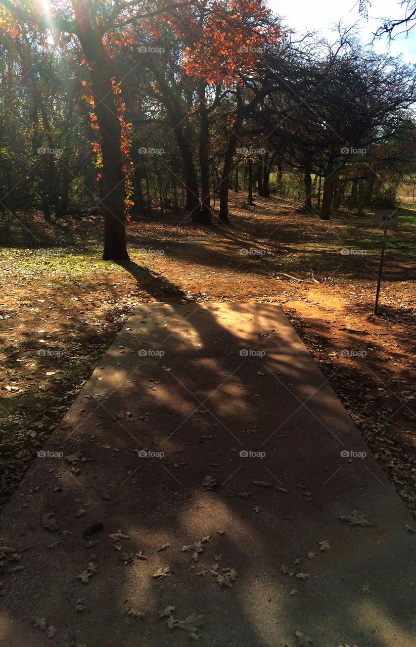 A shaded autumn look down a park pathway towards a wooded clearing in Lewisville, Texas.