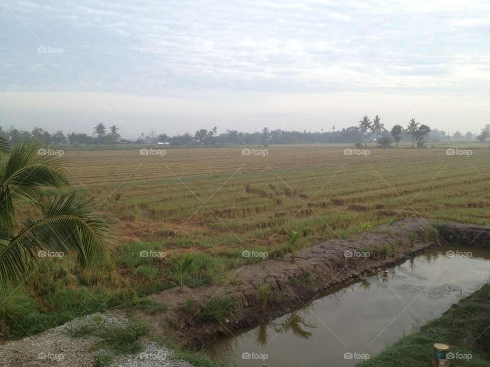 Water, No Person, Landscape, Agriculture, Travel