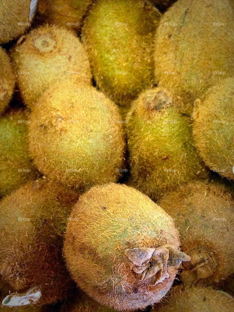 Kiwi at the Market 